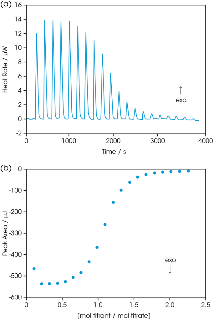 Figure 2: RNase A titrated with 2’-CMP in a Taraws Instruments ITC. RNase A was dialyzed (2 × 72 h, 4 °C) against 15 mM potassium acetate buffer, pH 5.5, then the concentration of the protein was adjusted to 80 μM. Ligand (1.58 mM 2’-CMP) was prepared using the final dialysis buffer. RNase A was loaded into the 7.0 mL sample cell and 2’-CMP was loaded into the 100 μL syringe. Twenty, 5 μL aliquots of ligand were titrated into the protein while the temperature of the system was maintained at 25°C. Figure 2a: The signal (heat) produced following each addition of inhibitor. Figure 2b: Integration of the heats over the time course of the experiment; the μJ in each peak are plotted against the mole ratio of titrant (inhibitor) to titrate (protein). ‘Exo’ depicts the sign convention for an exothermic reaction. Ka of 2’-CMP binding: 1 × 106 M-1. Enthalpy of binding: -65 KJ mol-1.